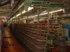 DSC02960.JPG
