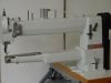 Dsc00331.jpg